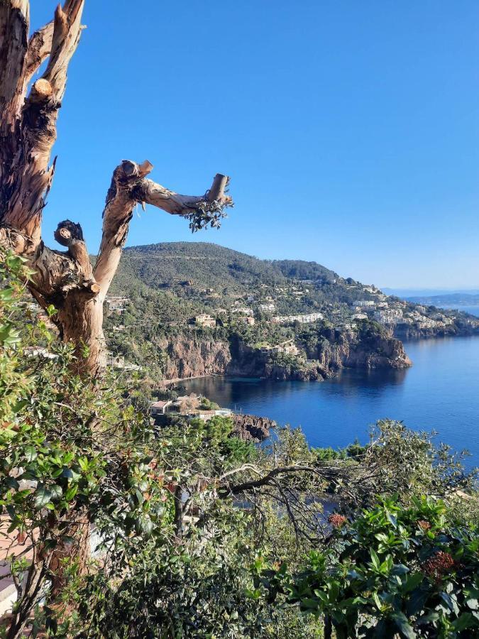 Magic Mer Saint-Raphaël Esterno foto