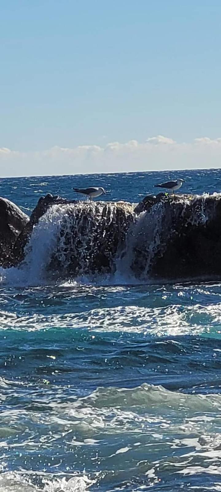 Magic Mer Saint-Raphaël Esterno foto
